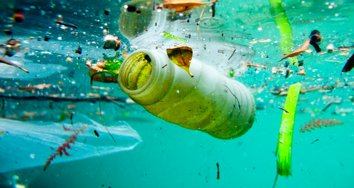 recycling plastic bottles stops them ending up in the sea